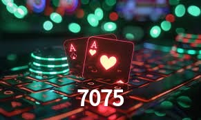 Sistemas de Segurança 7075